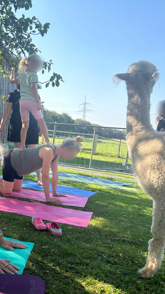 Familienyoga mit Alpakas in Maxhütte-Haidhof bei Regensburg