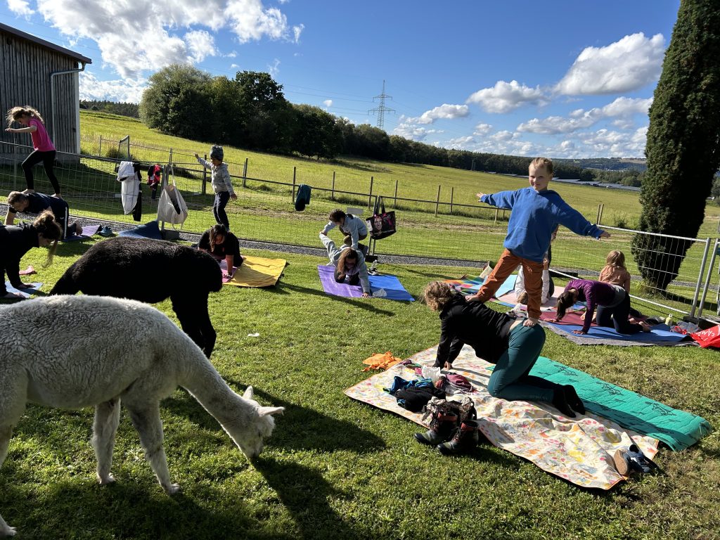 Familienyoga mit Alpakas in Maxhütte-Haidhof bei Regensburg